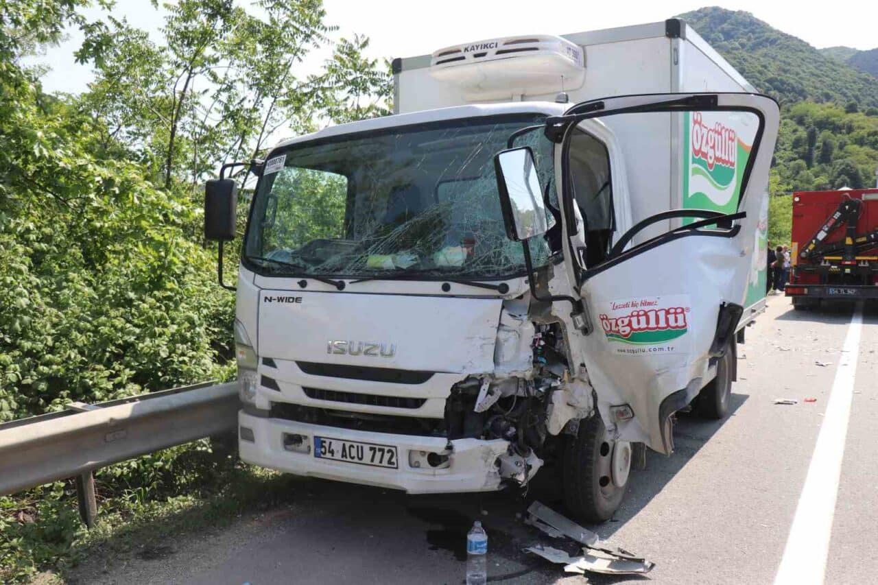 Sakarya Geyve'de D-650 kara yolunda, N.C. (54) yönetimindeki kamyonet, T.T.