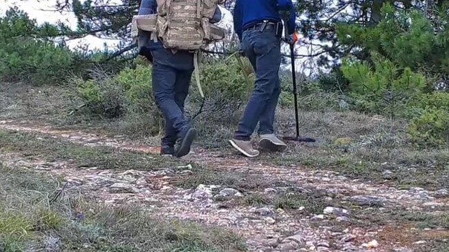 Karabük'ün Safranbolu ilçesindeki Sarıçiçek Yaylası'nda bir doğasever tarafından yerleştirilen fotokapanda,