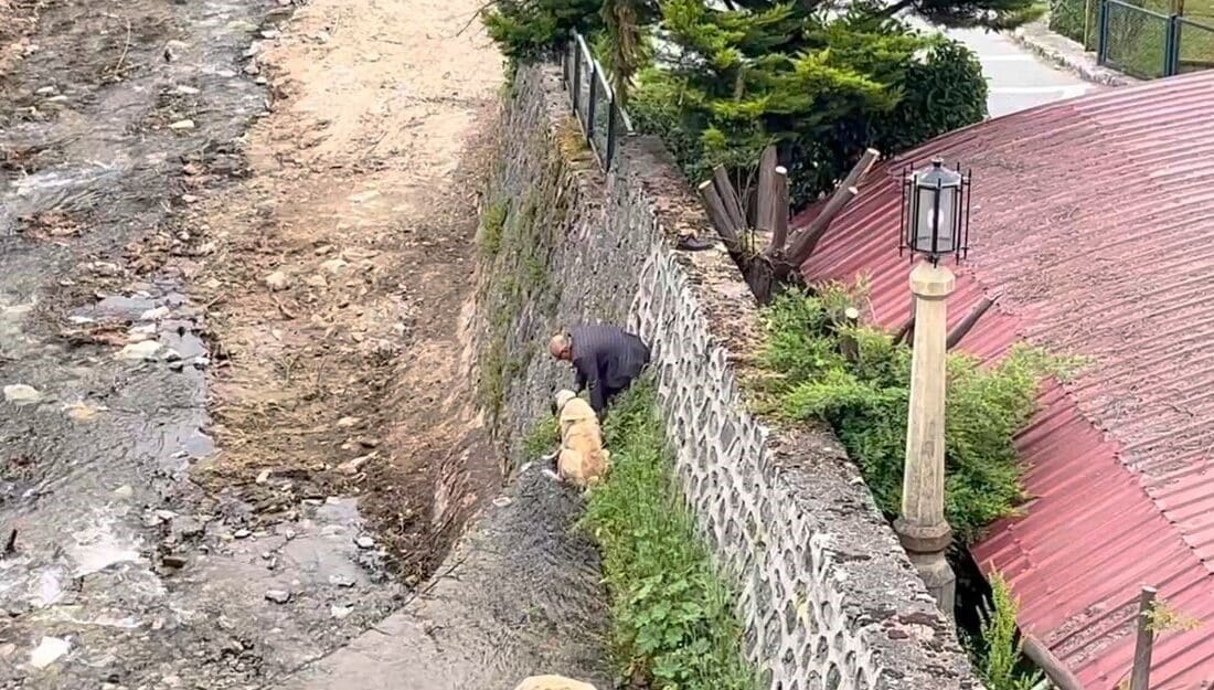 Bursa’nın Osmangazi ilçesinde derede mahsur kalan 2 Kangal köpek, sahibi