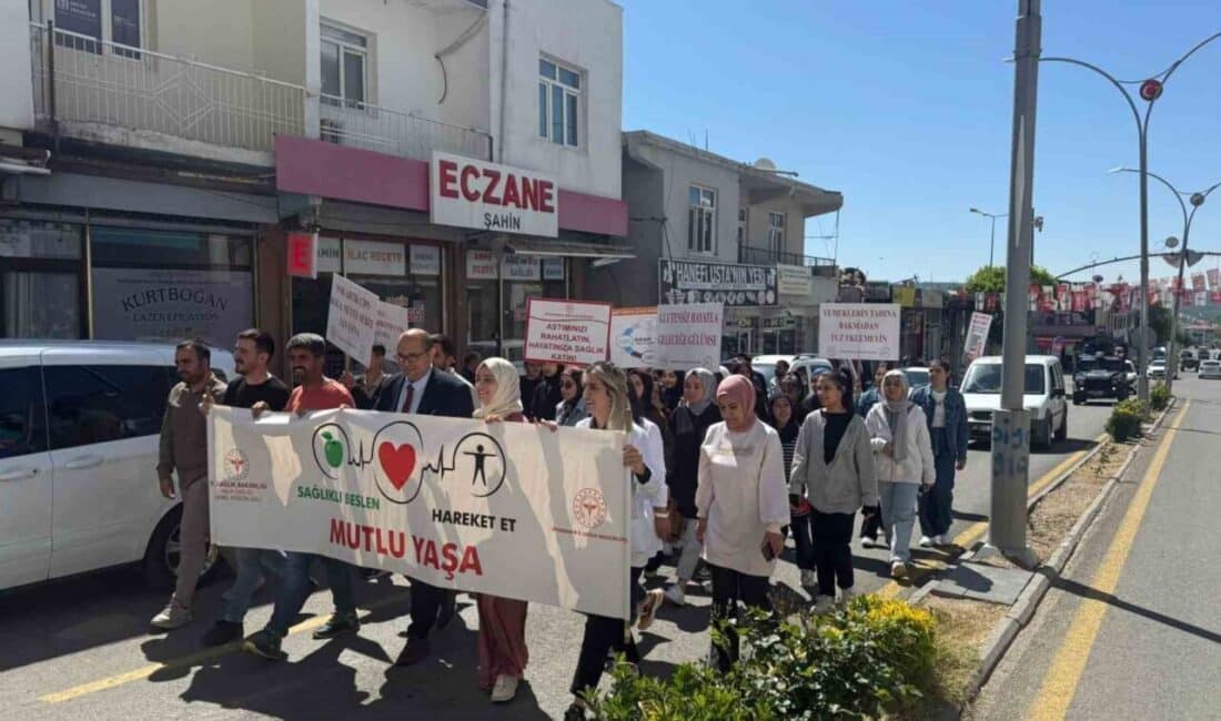 Diyarbakır'da Dicle İlçe Sağlık Müdürlüğü ve Şehit Bilal Dicle Anadolu