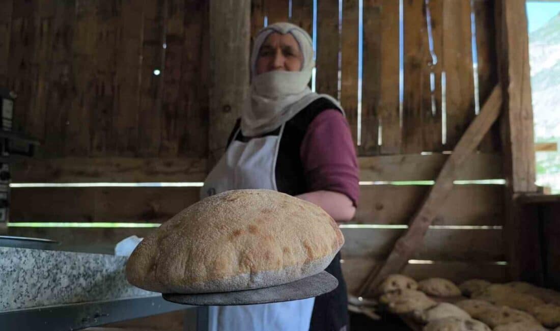 Erzurum’un Uzundere ilçesindeki Çağlayan Mahallesi’nde yaşayan Ömer Özgelen, katkısız ve
