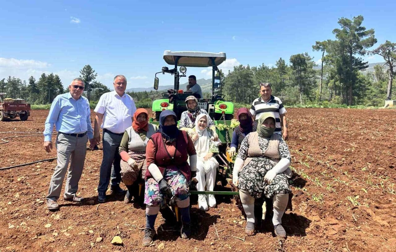 Denizli Milletvekili Sema Silkin Ün, Anneler Günü'nü Beyağaç'ta tütün diken
