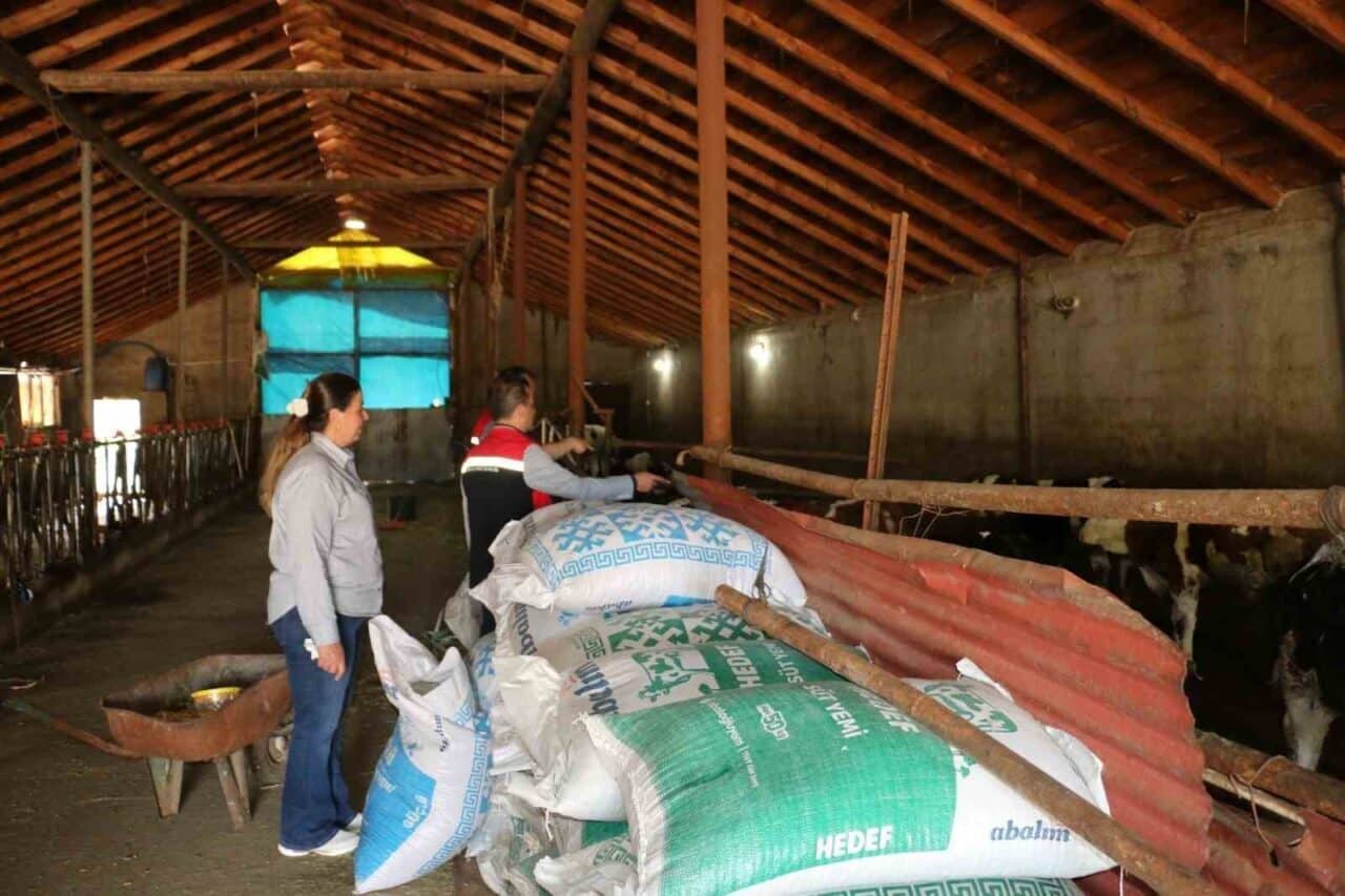 Erzincan’ın Ocakbaşı Köyü Muhtarı Asuman Akpolat, 3 dönemdir sürdürdüğü muhtarlık