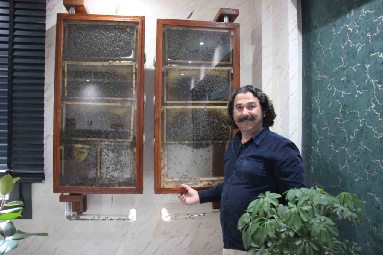 Hidayet Gülpınar, Aydın'daki fabrikasında ofisine kurduğu cam arı kovanıyla ilgilenerek,