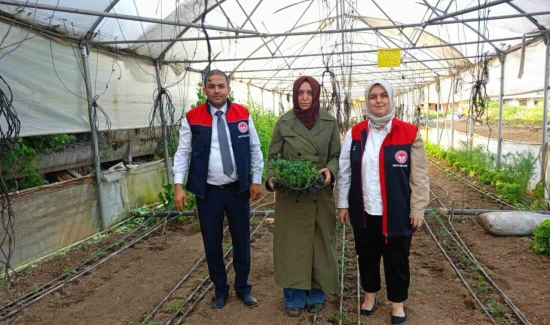 Düzce’de Kadın Üreticilerin Seralarına Ziyaret Gerçekleştiren Tarım ve Orman İl Müdürü, Fide Desteği ile Yapılan Üretimi İnceledi Düzce Tarım ve Orman İl Müdürü Esra Uzun, fide desteğiyle
