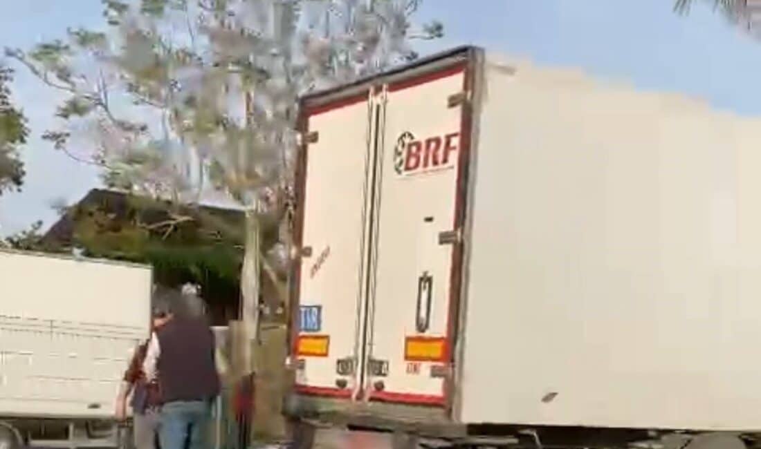Antalya'nın Gazipaşa ilçesinde Kamil E. yönetimindeki sebze yüklü tır, dikkatsizlik