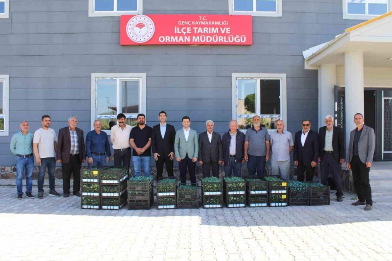 Bingöl'ün Genç ilçesinde, 'Bingöl Sebze Üretiminin Geliştirilmesi Projesi' kapsamında 21