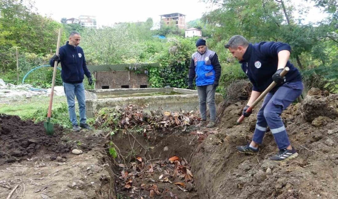 Giresun'da başlatılan çevreci projede, balık atıkları günlük 100 kilogram geri