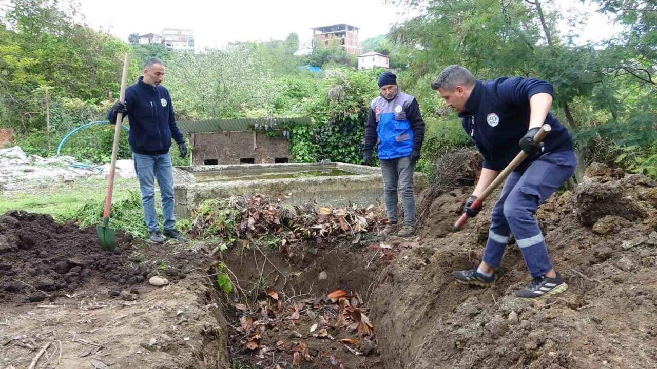 Giresun'da başlatılan çevreci projede, balık atıkları günlük 100 kilogram geri