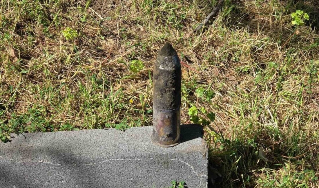 Bursa'nın Orhangazi ilçesindeki İznik Gölü sahilinde, bir çocuk tarafından bulunan