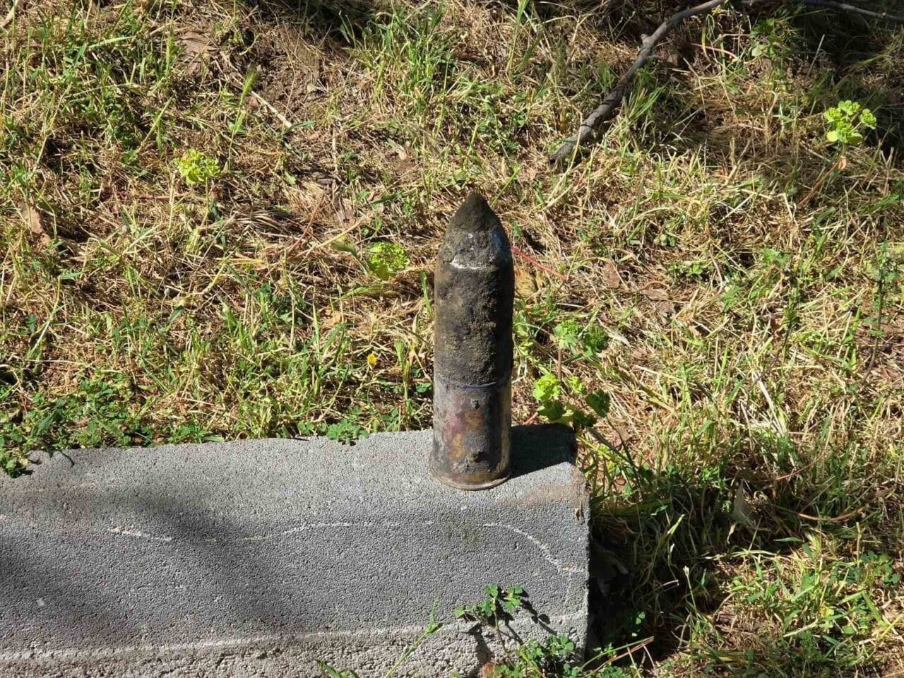 Bursa'nın Orhangazi ilçesindeki İznik Gölü sahilinde, bir çocuk tarafından bulunan