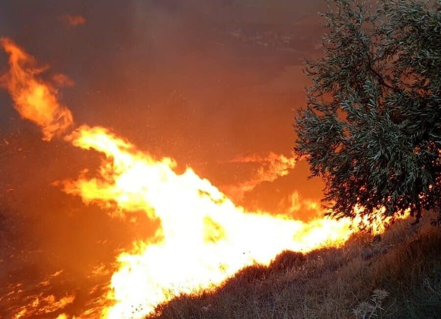 Hatay'ın Belen ilçesinde bulunan zeytinlik alanda çıkan yangın, fırtınanın etkisiyle