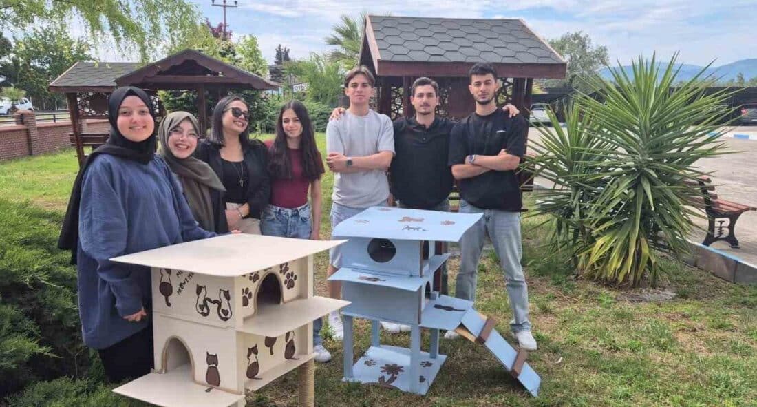 Havran Meslek Yüksekokulu öğrencileri, sokak kedileri için tasarladıkları kedi evlerini
