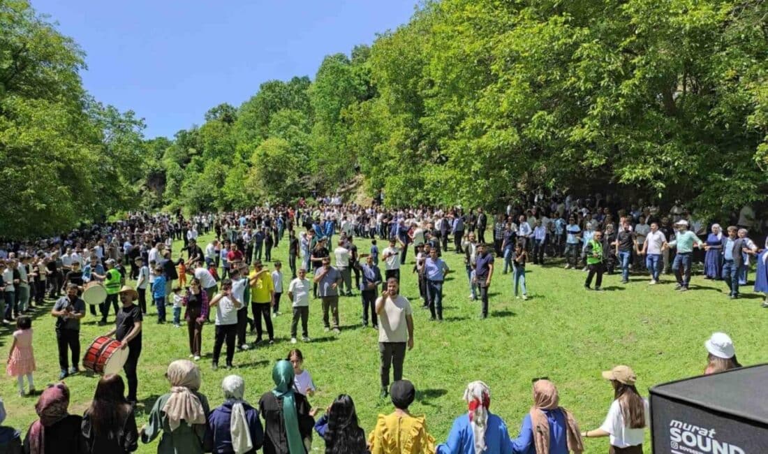 Batman'da 35 yıl aradan sonra köylerine dönen aileler, düzenlenen festivalde