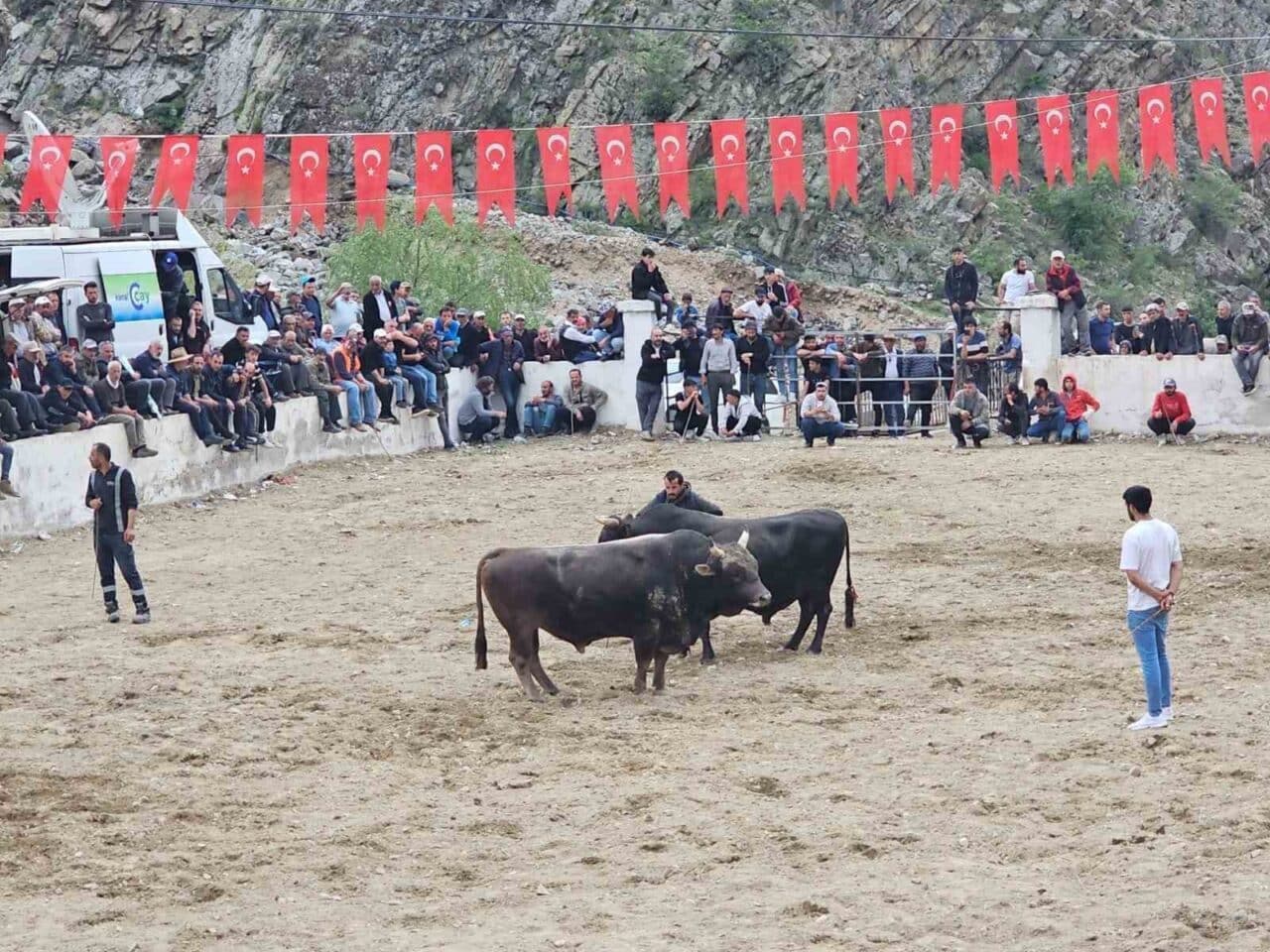 Erzurum'un İspir ilçesinde gerçekleştirilen boğa güreşleri sırasında sahipleri arasında çıkan