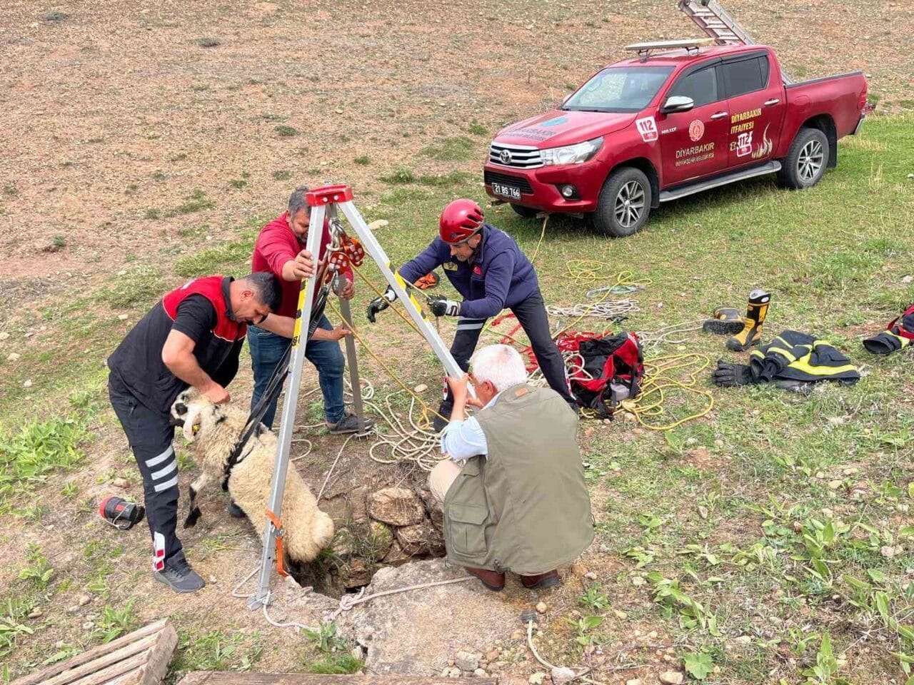 Diyarbakır'ın Bismil ilçesinde Aydınlar Mahallesi'nde bir kuyuya düşen koyun, itfaiye