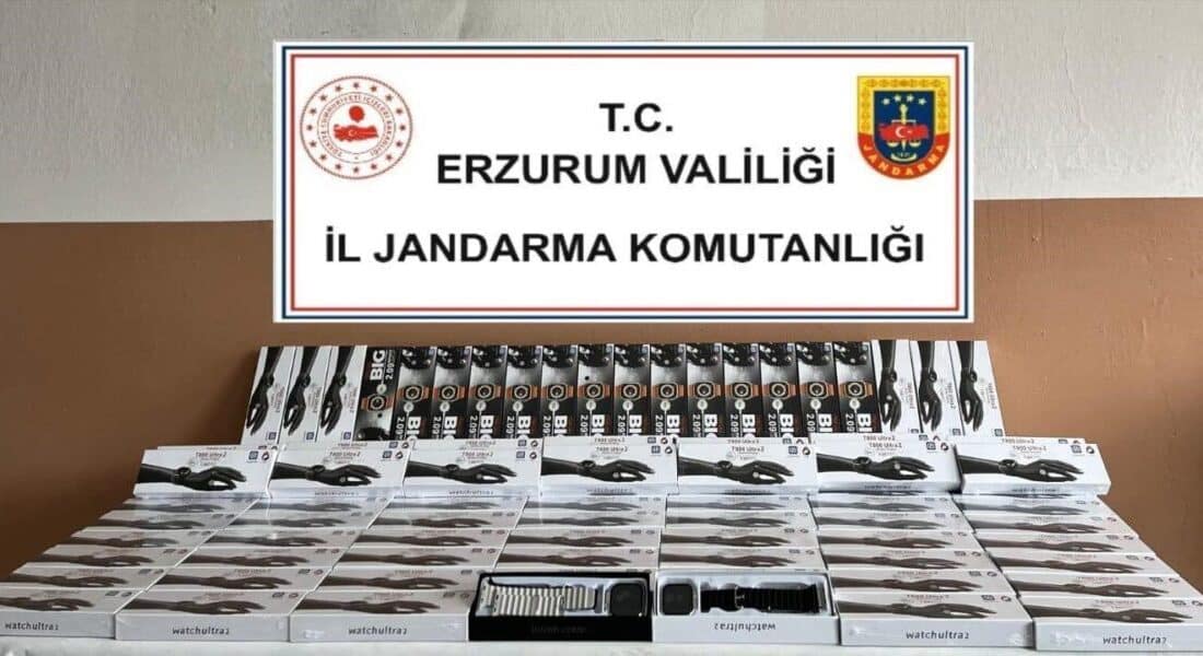 Erzurum'da jandarma, Oltu ilçesinde düzenlediği operasyonda 350 bin TL değerinde