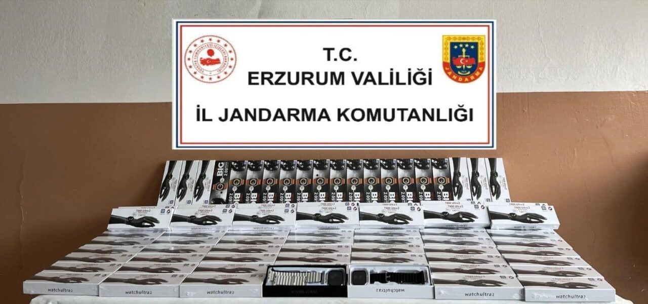 Erzurum'da jandarma, Oltu ilçesinde düzenlediği operasyonda 350 bin TL değerinde