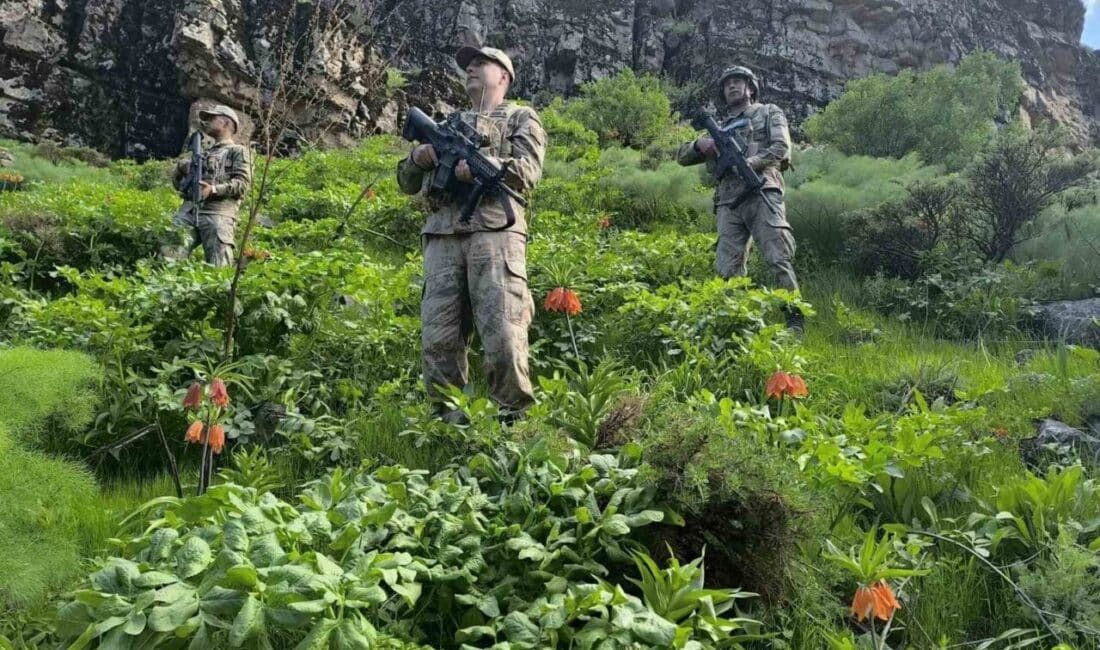 Hakkari’de Ters Laleler İçin Koruma Önlemleri Artırıldı Hakkari İl Jandarma Komutanlığı, nesli tehlike altındaki endemik ters laleleri