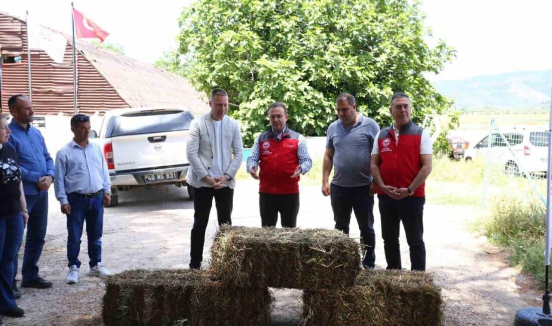 Muğla İl Tarım ve Orman Müdürlüğü, kadın koyunculuk üreticilerine destek