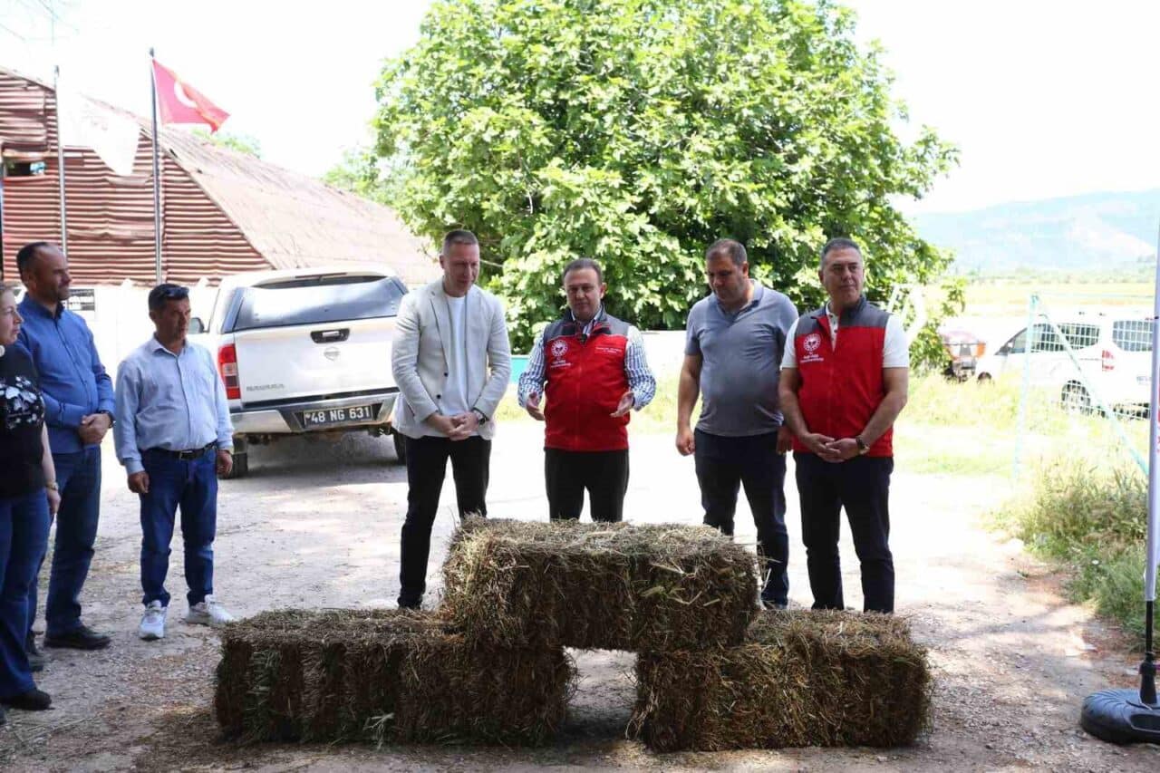 Muğla İl Tarım ve Orman Müdürlüğü, kadın koyunculuk üreticilerine destek