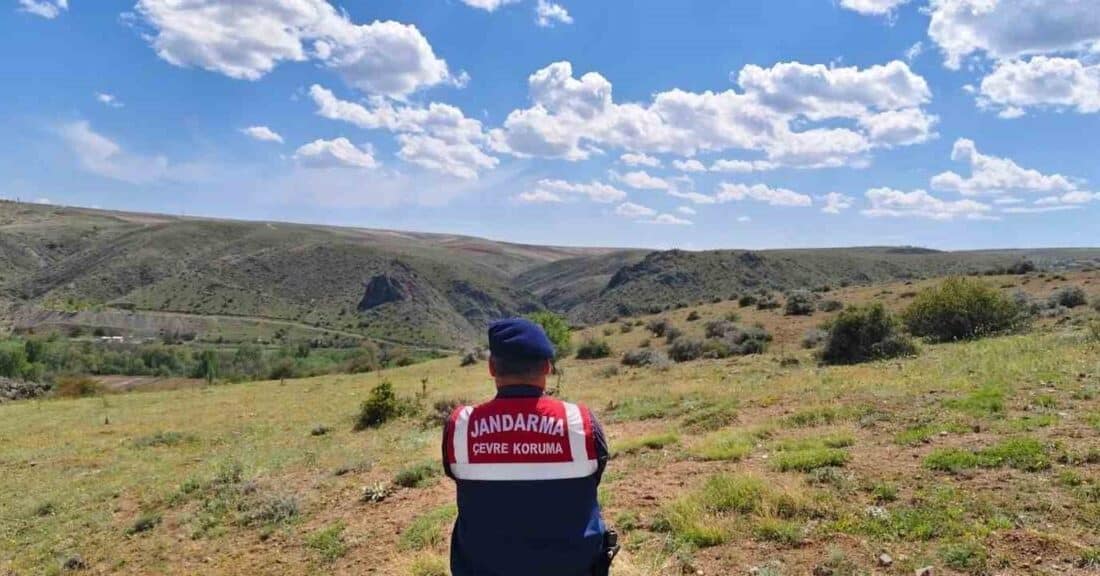Yozgat’ta Karanlıkdere Vadisi’nde Jandarma Biyokaçakçılık Denetimi ve Hayvanlara Yem Yardımı Yaptı Yozgat'ın Şefaatli ilçesindeki Karanlıkdere Vadisi'nde Jandarma ekipleri biyokaçakçılık denetimi gerçekleştirdi.