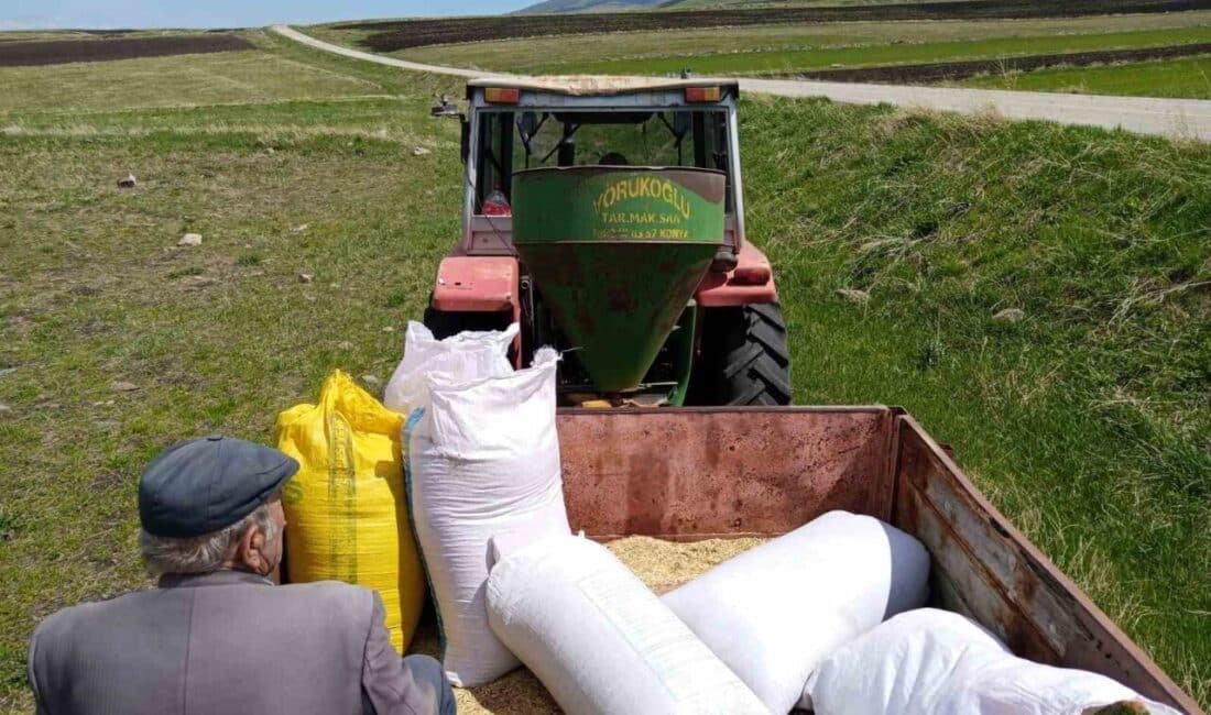 Kars'ta bahar ile birlikte çiftçiler, arpa, buğday ve yulaf tohumlarını