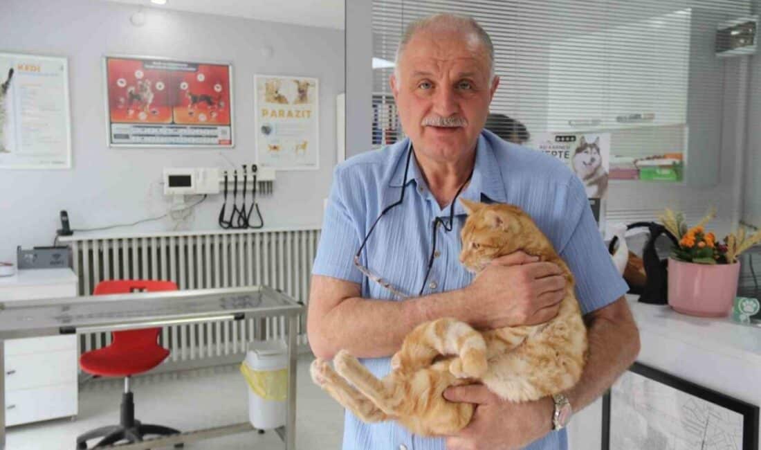 Eskişehir'de Oktay Uysalan, hastalığı nedeniyle veteriner kliniğine yetiştirdiği kedisi için