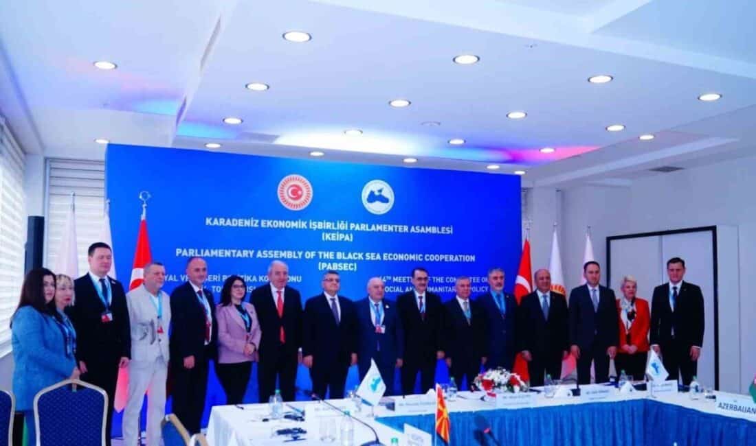 Karadeniz Ekonomik İş Birliği Parlamenter Asamblesi (KEİPA) Sosyal ve Beşerî