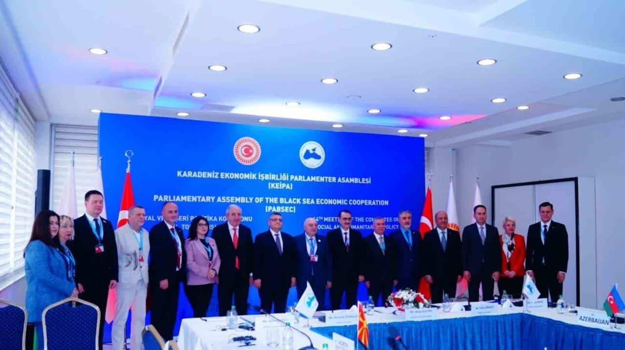 Karadeniz Ekonomik İş Birliği Parlamenter Asamblesi (KEİPA) Sosyal ve Beşerî