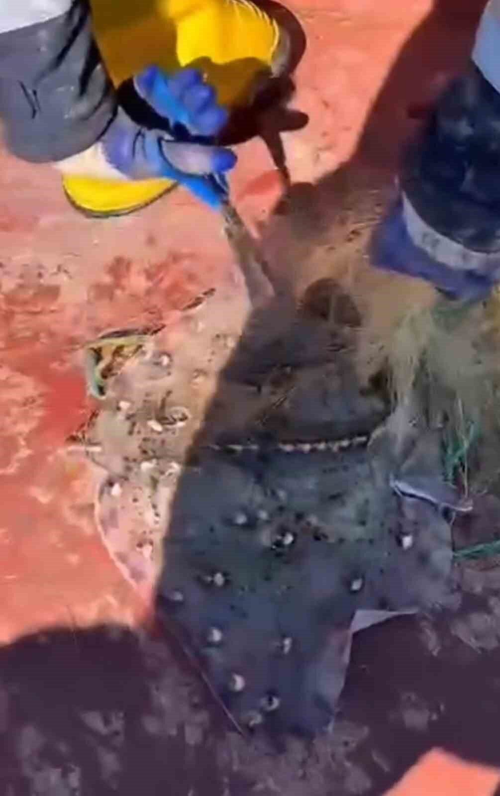 Kırklareli'nde Tarım ve Orman Bakanlığı'na ait "Koruma Kontrol-3" teknesi, İğneada