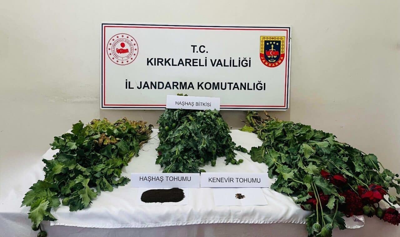 Kırklareli'nde jandarma, uyuşturucu ticareti yapan 8 kişiyi düzenlediği operasyonda gözaltına