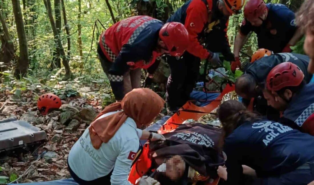 Sakarya'nın Sapanca ilçesinde C.Ş.K. (29) yönetimindeki UTV, direksiyon hakimiyetinin kaybolması