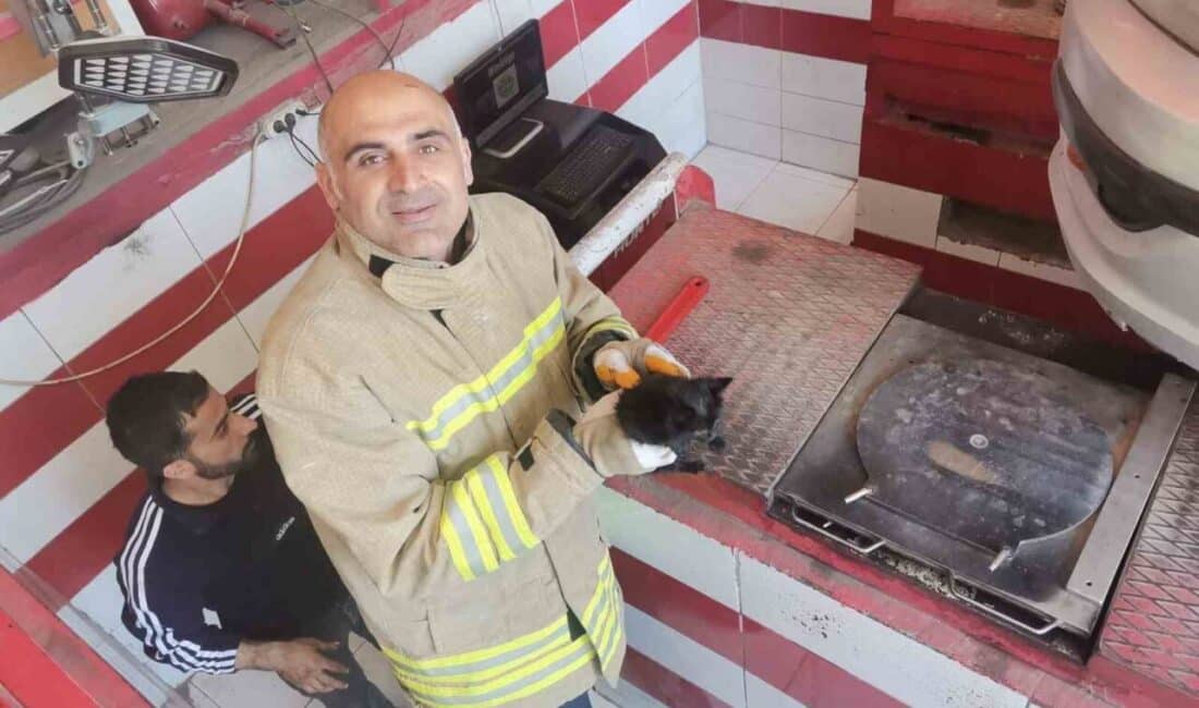 Mardin’de otomobilin motoruna sıkışan yavru kedi, itfaiye tarafından kurtarıldı Mardin'in Artuklu ilçesinde, bir otomobilin motor bölümüne sıkışan yavru kedi,