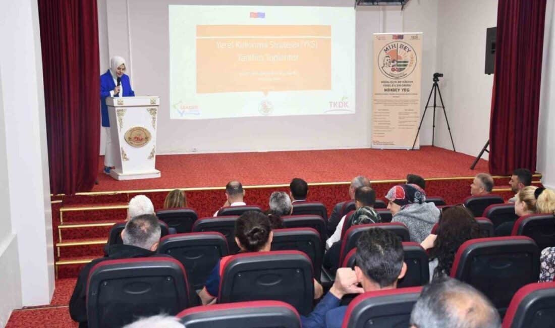 Tarım ve Kırsal Kalkınmayı Destekleme Kurumu öncülüğünde Mihalıççık Beylikova Yerel