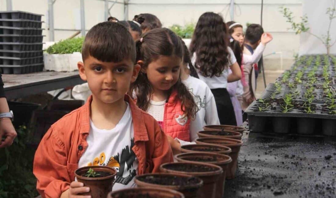 İskele Anaokulu öğrencileri, Van Büyükşehir Belediyesi'nin seralarını ziyaret ederek doğayla