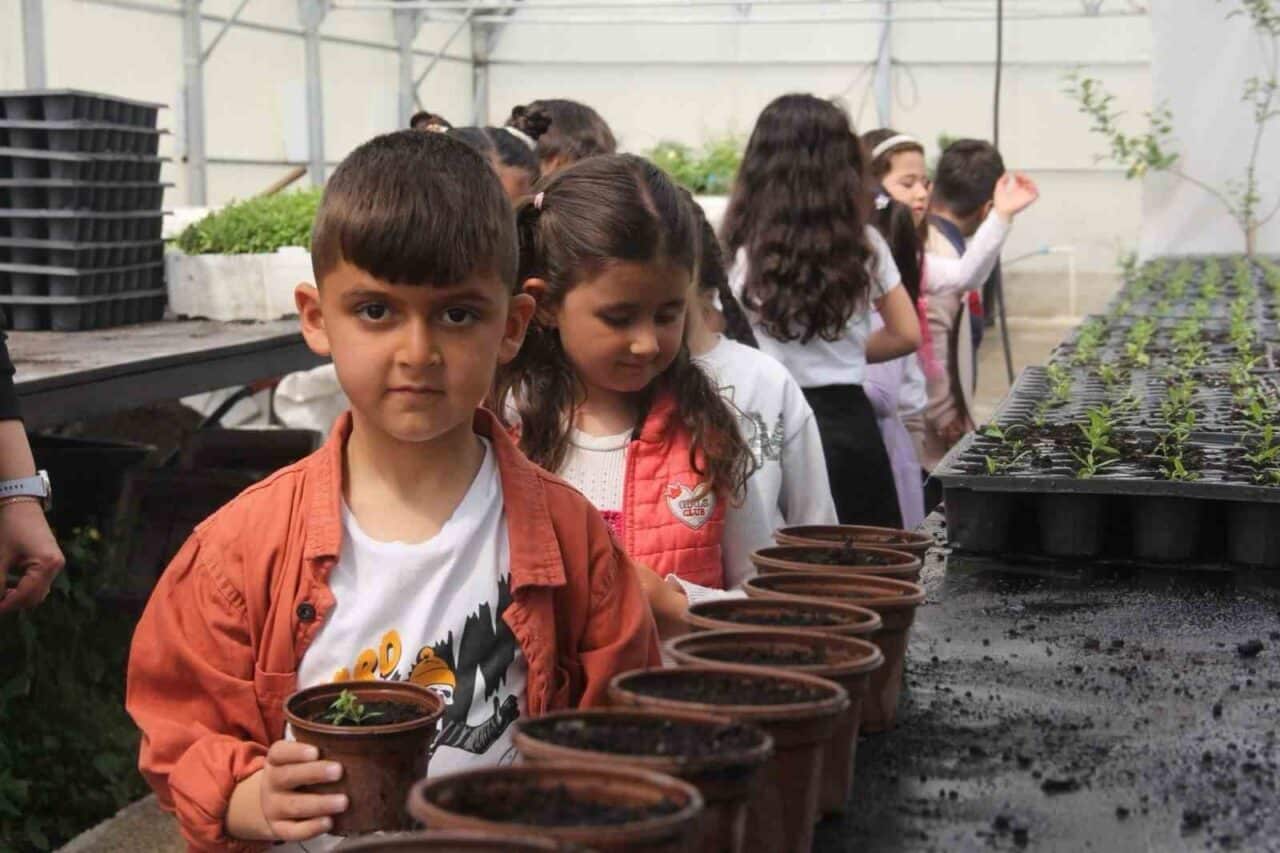 İskele Anaokulu öğrencileri, Van Büyükşehir Belediyesi'nin seralarını ziyaret ederek doğayla