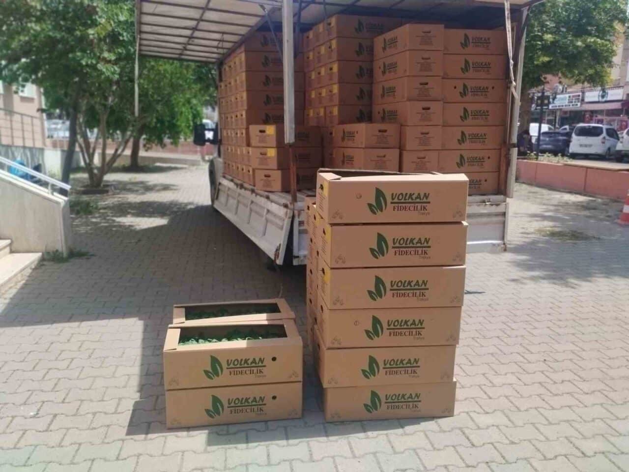 Muratlı'da Tarım ve Orman Bakanlığı'nın 'Sebzecilik Artsın Üreticilerin Yüzü Gülsün'