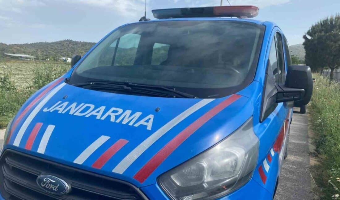 Aydın'ın Nazilli ilçesinde, 63 yaşındaki Güngör Bidav evinin bahçesinde ölü