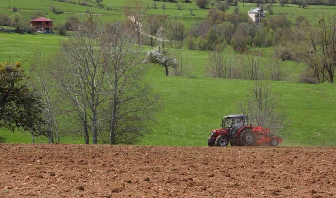 Ordu Büyükşehir Belediyesi, gluten hassasiyeti olanlar için önemli bir ürün