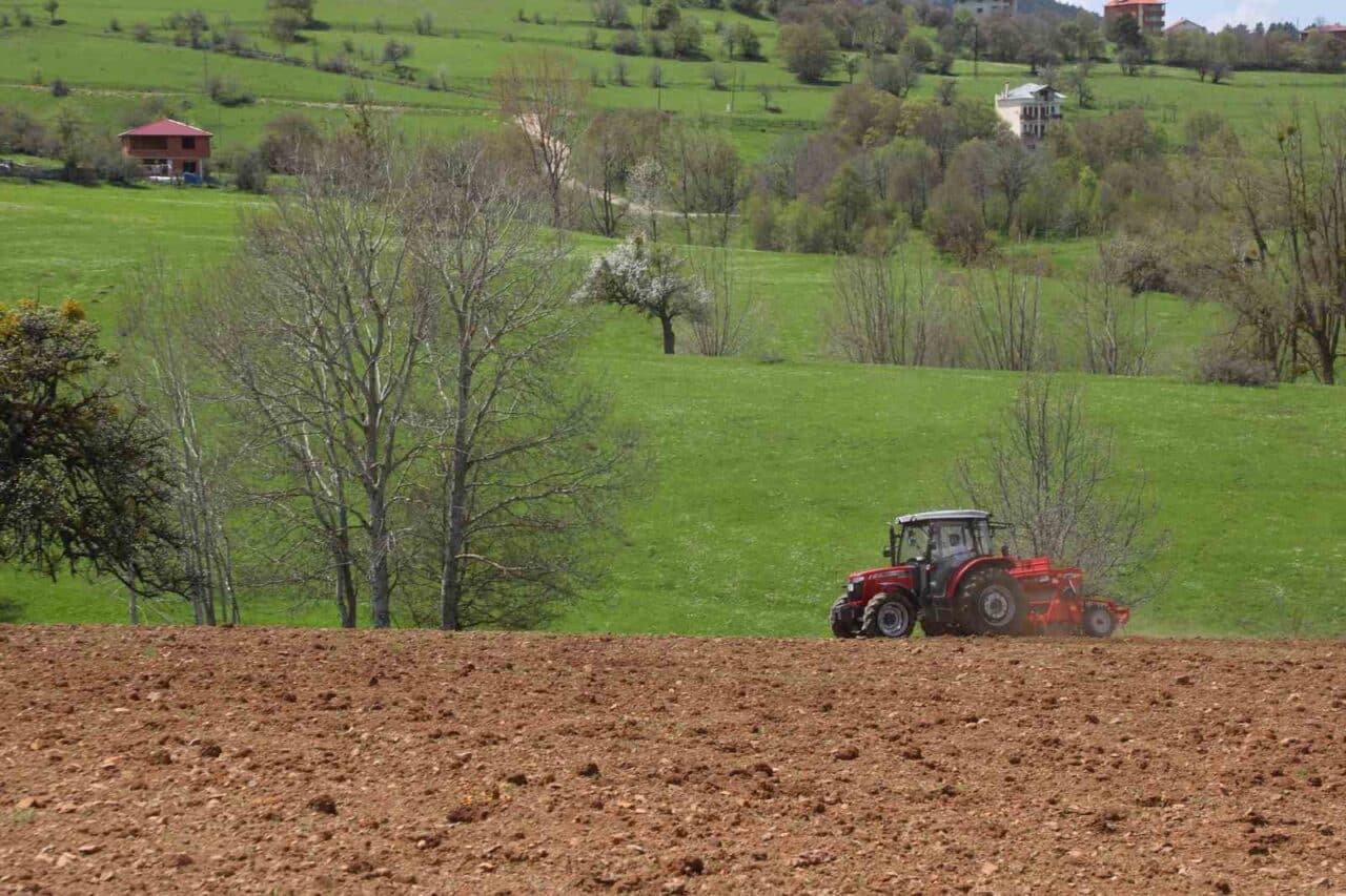 Ordu Büyükşehir Belediyesi, gluten hassasiyeti olanlar için önemli bir ürün
