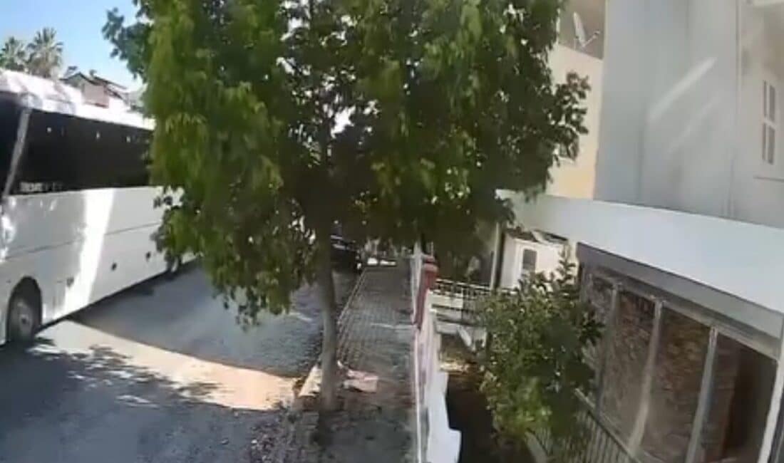 Kuşadası'nda bir tur otobüsü şoförünün, sokakta yatan köpeği ezerek ölümüne