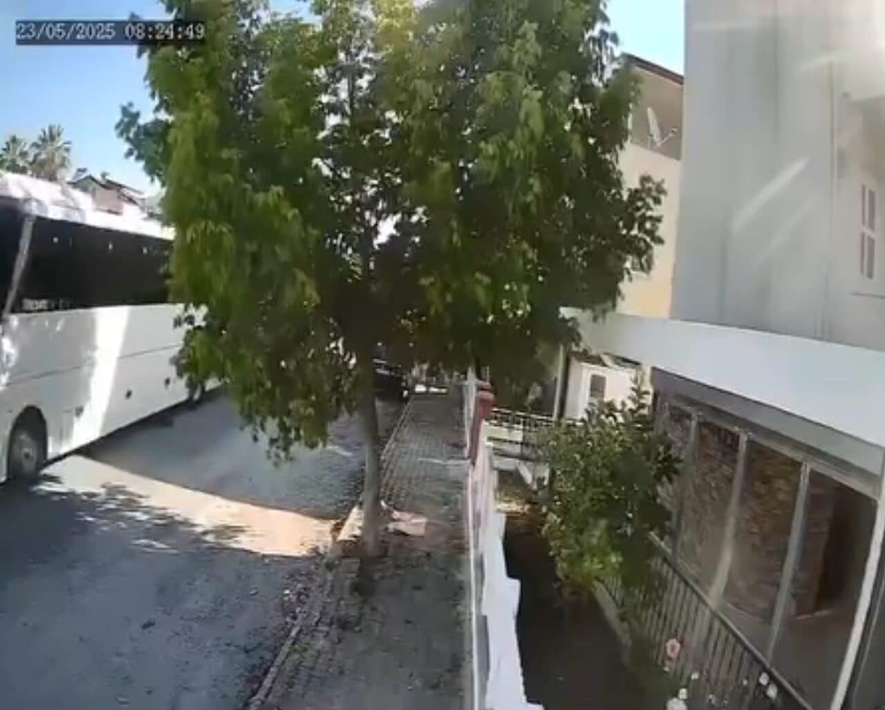 Kuşadası'nda bir tur otobüsü şoförünün, sokakta yatan köpeği ezerek ölümüne