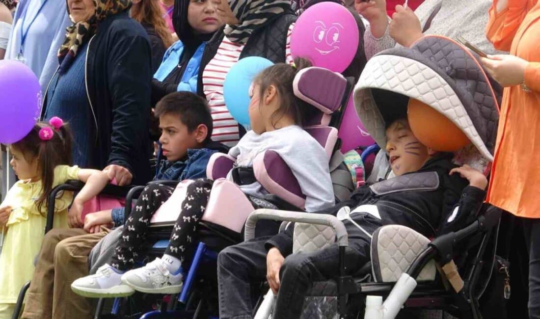 Çankırı'da, 'Dünya Engelliler Haftası' kapsamında düzenlenen 'Hep Birlikteyiz Festivali'ne yaklaşık