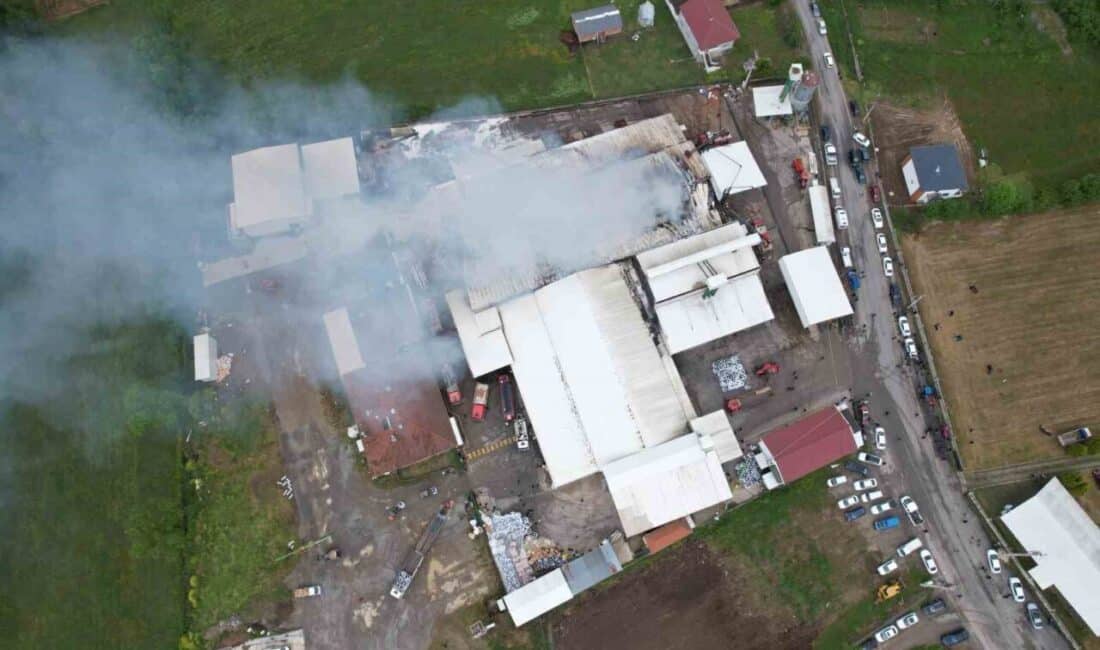 Karasu’daki fındık fabrikasında yangın söndürme çalışmaları hava destekli devam ediyor Sakarya'nın Karasu ilçesindeki bir fındık kırım fabrikasında çıkan yangın, Adatepe