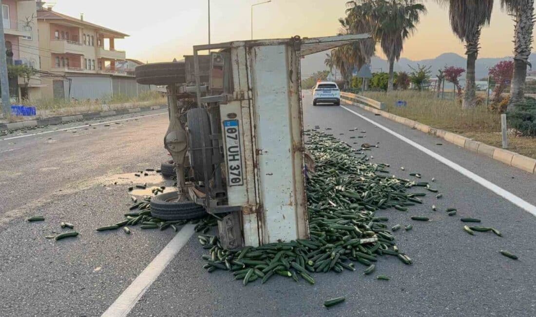Antalya'nın Gazipaşa ilçesinde, Yakup A. yönetimindeki salatalık yüklü kamyonet, sürücünün