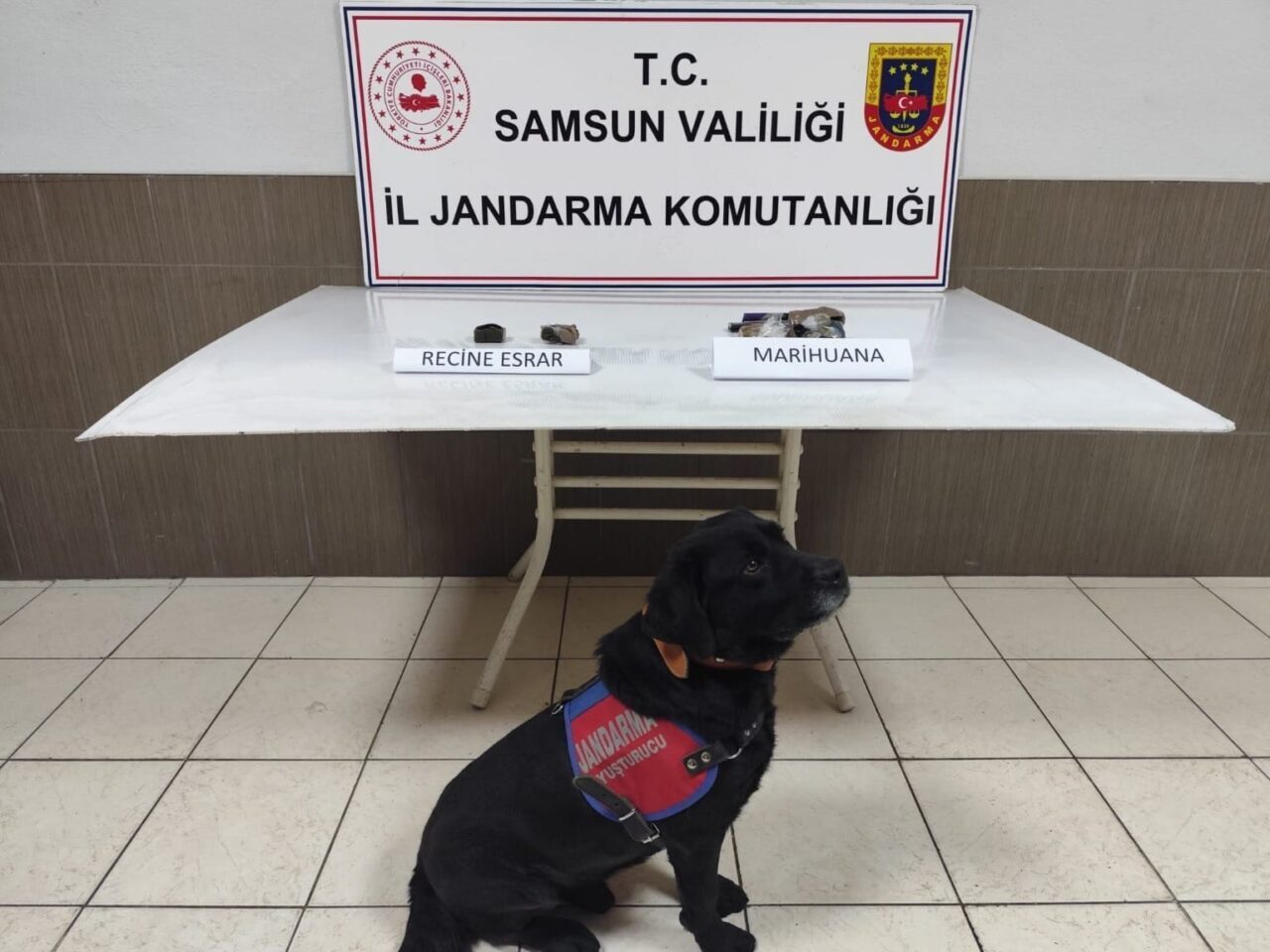Samsun'un Çarşamba ilçesinde jandarma, uyuşturucu operasyonu düzenleyerek R.D. (60) adlı