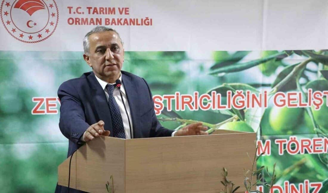 Samsun'un 19 Mayıs ilçesinde düzenlenen zeytin fidanı teslim töreninde İl