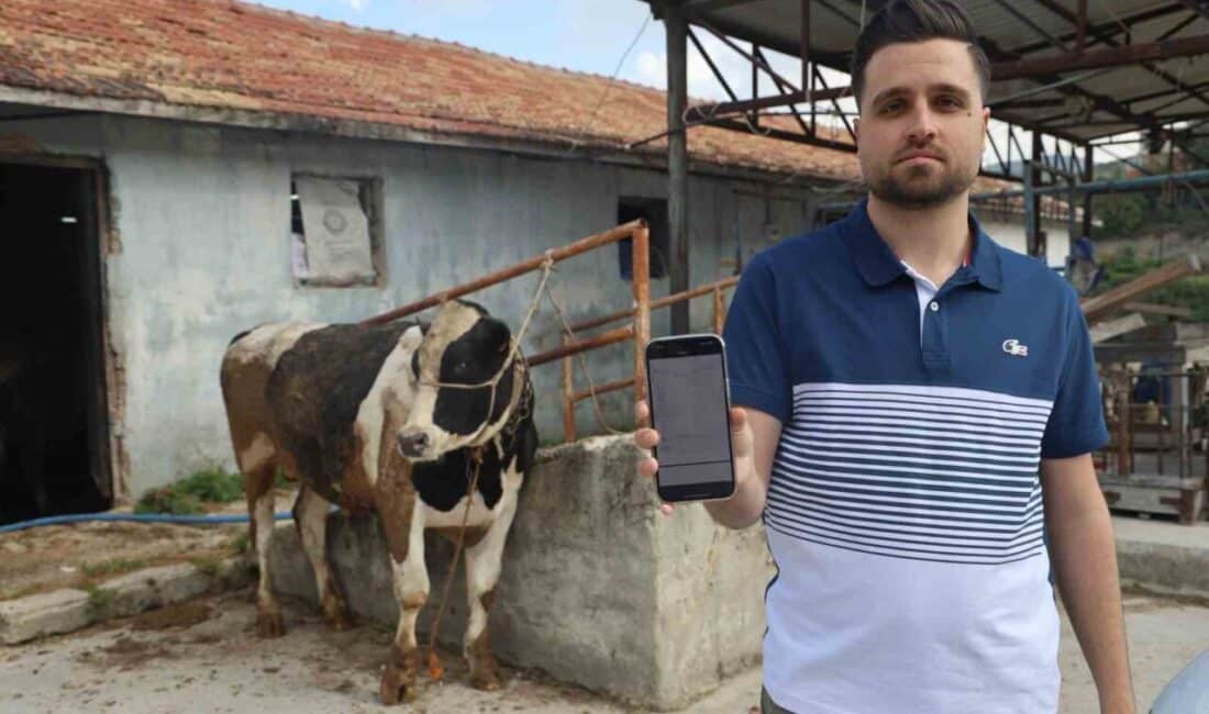 Hatay’da besici Nuri Başak, sosyal medya üzerinden kurbanlık almak isterken