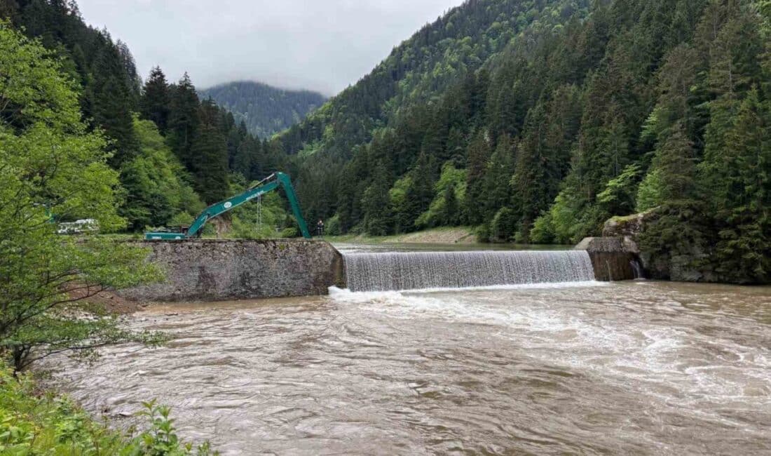 Trabzon'un Uzungöl bölgesinde 26 Mayıs'ta Haldizen Deresi'ne düşen 9 yaşındaki